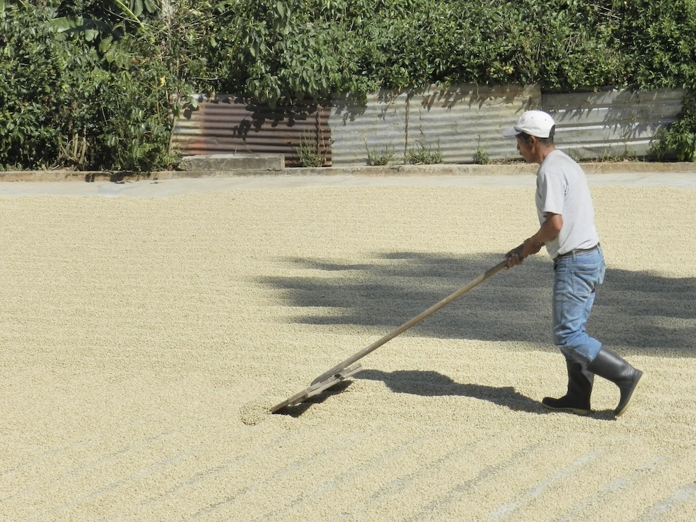 Huehuetenango20-20Finca20Los20Laureles2020-scaled.jpg